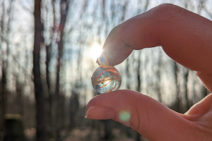 Marble being held up to the sun in a forest